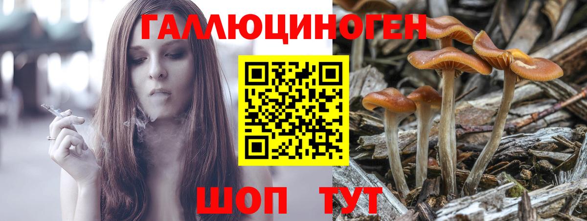 Псилоцибиновые грибы Cubensis  Псилоцибиновые грибы MAGIC MUSHROOMS  Гусев  Вход с VPN 