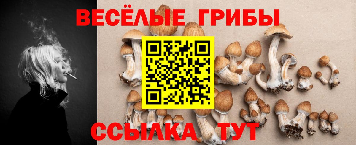 Галлюциногенные грибы мухоморы Гусев